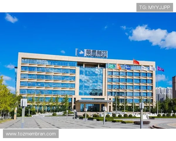 天生赢家一触即发：掌握这些策略让你在竞争中脱颖而出成为领跑者